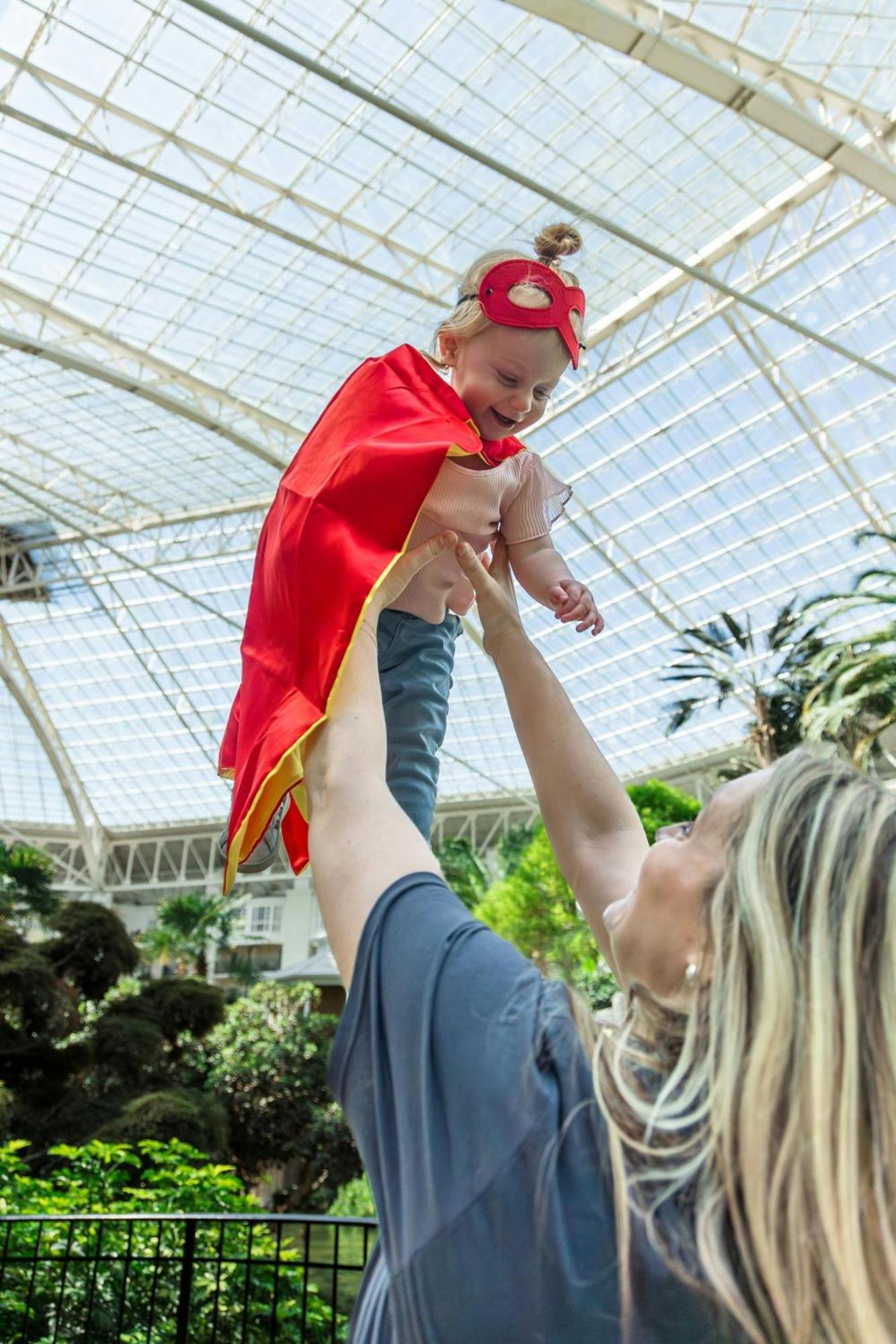 Resort Gaylord Palms & Convention Center Celebration