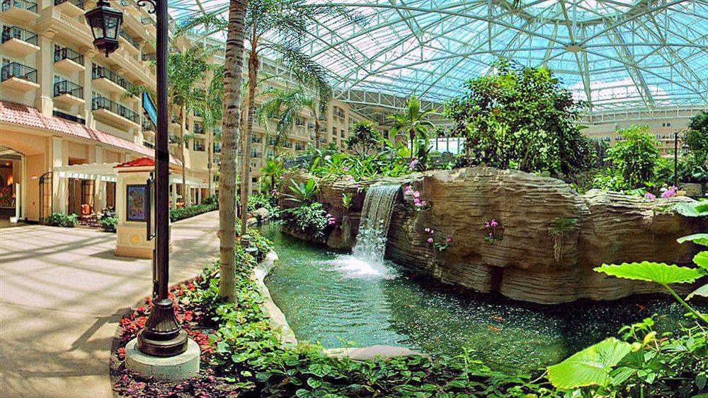 Resort Gaylord Palms & Convention Center Celebration
