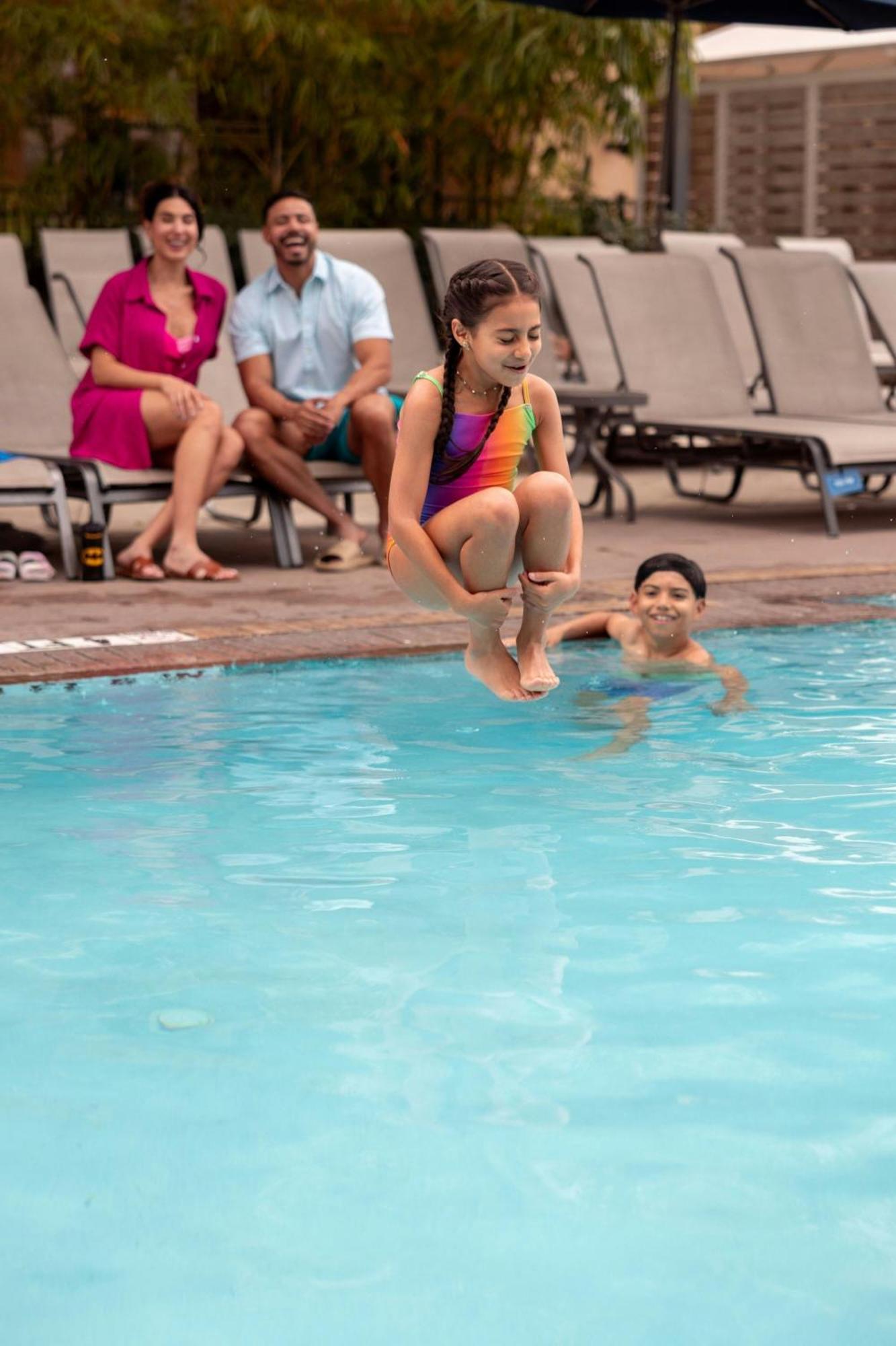 Resort Gaylord Palms & Convention Center Celebration