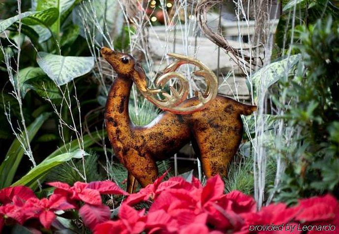 Gaylord Palms & Convention Center Resort Celebration
