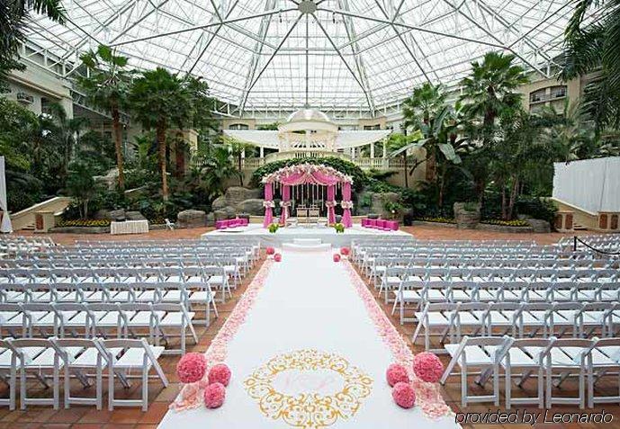 Gaylord Palms & Convention Center Resort 4*
