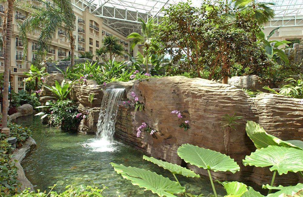 Gaylord Palms & Convention Center Resort