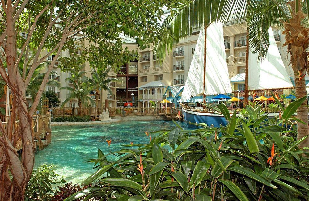 Resort Gaylord Palms & Convention Center 4*